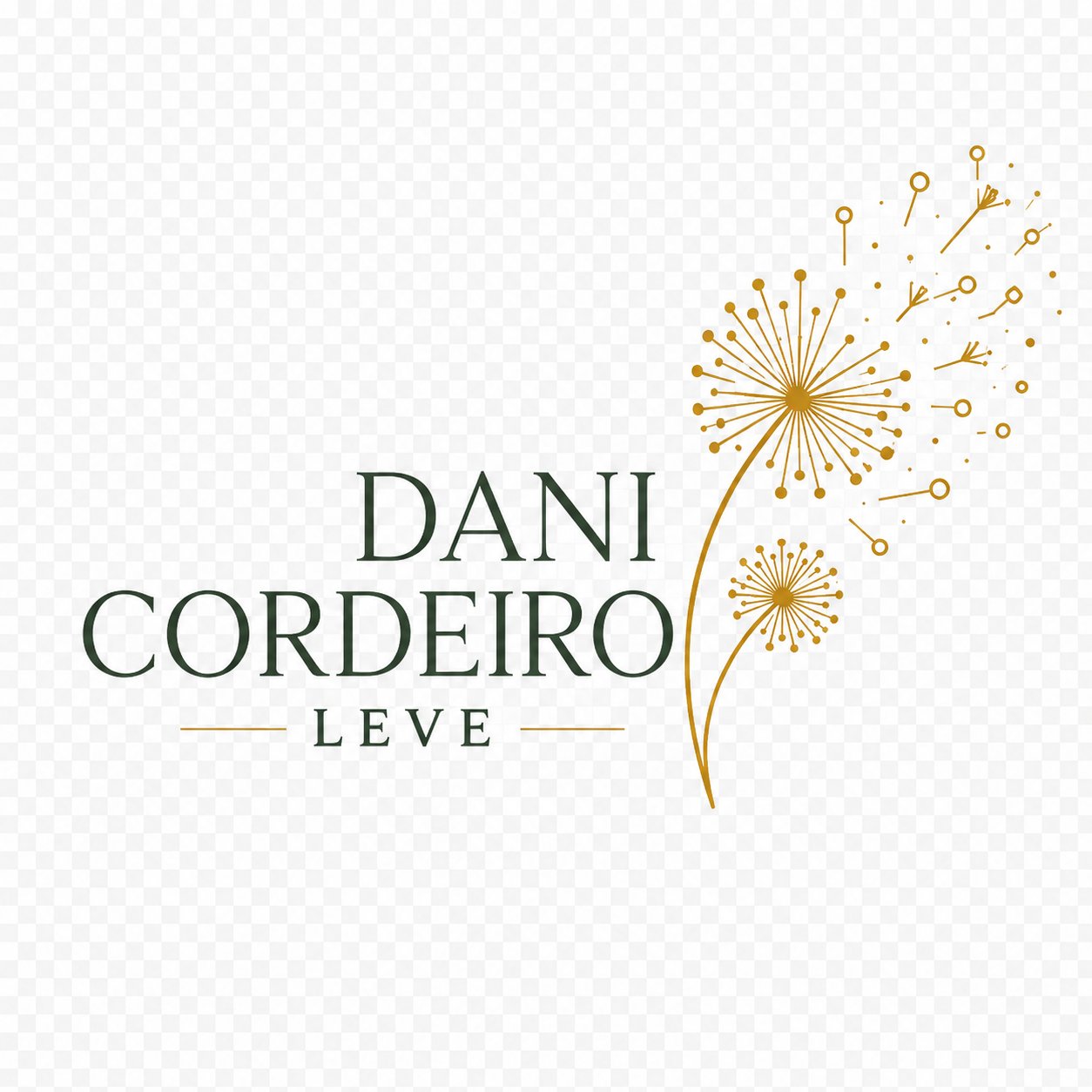 Dani Cordeiro Leve